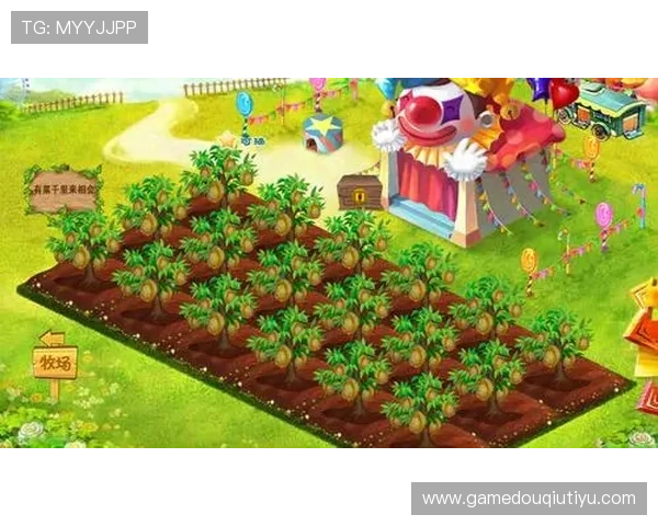 斗球ap：多样化的比赛模式满足不同玩家需求